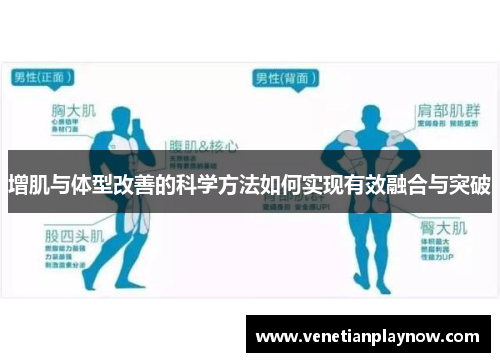 增肌与体型改善的科学方法如何实现有效融合与突破