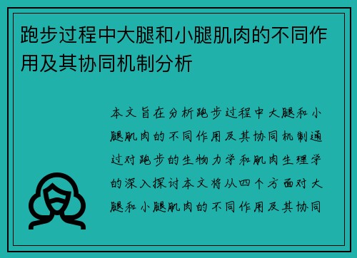 跑步过程中大腿和小腿肌肉的不同作用及其协同机制分析